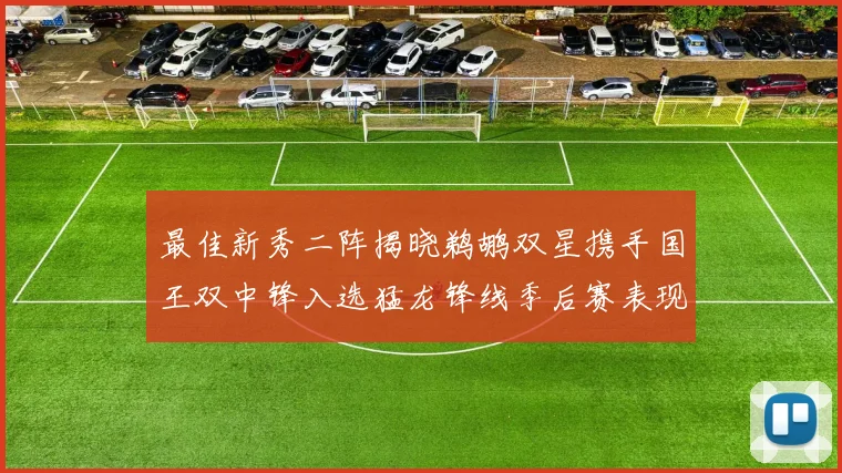 最佳新秀二阵揭晓鹈鹕双星携手国王双中锋入选猛龙锋线季后赛表现抢眼